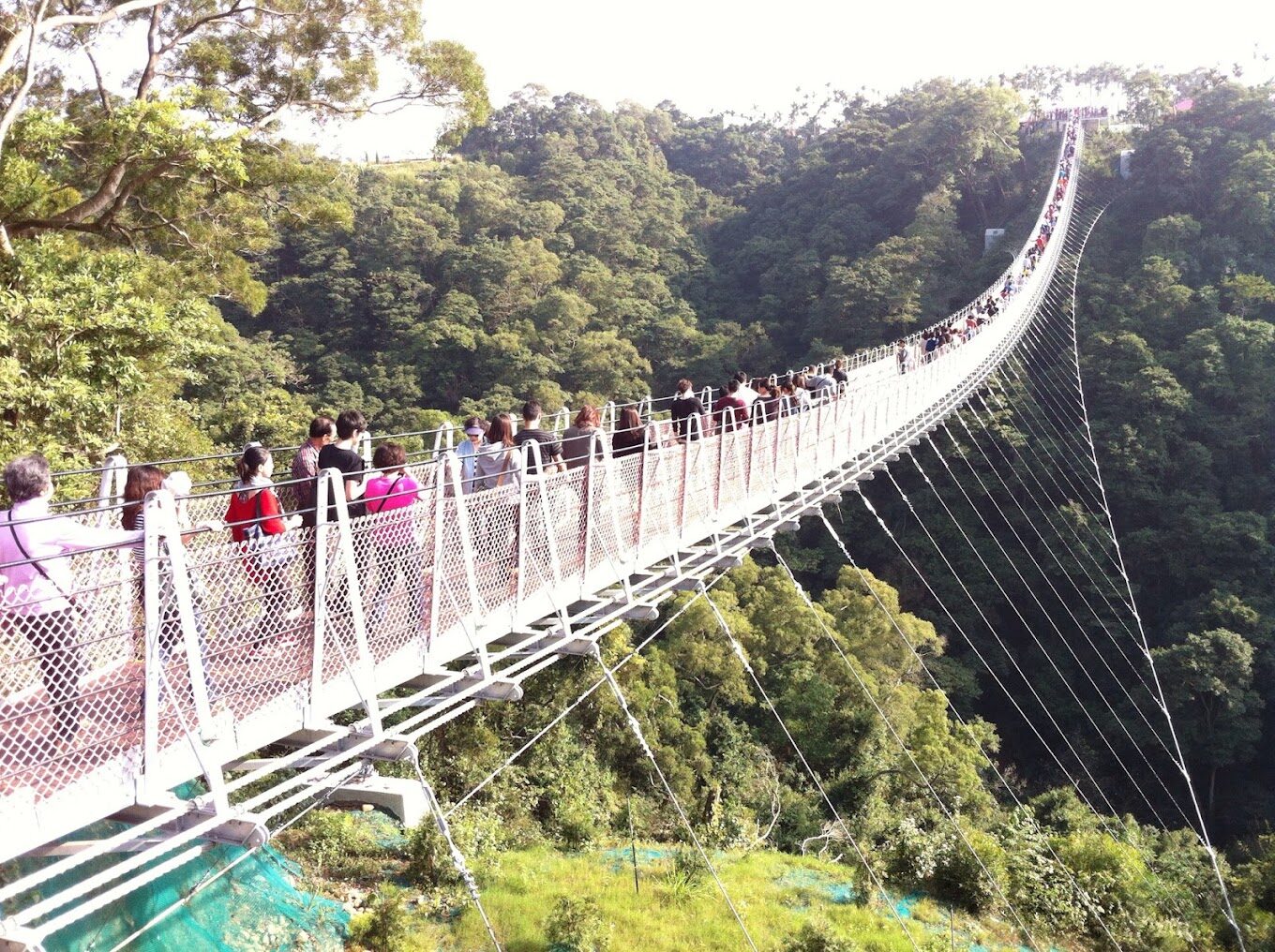 2025南投必去景點攻略｜這美景絕對不容錯過