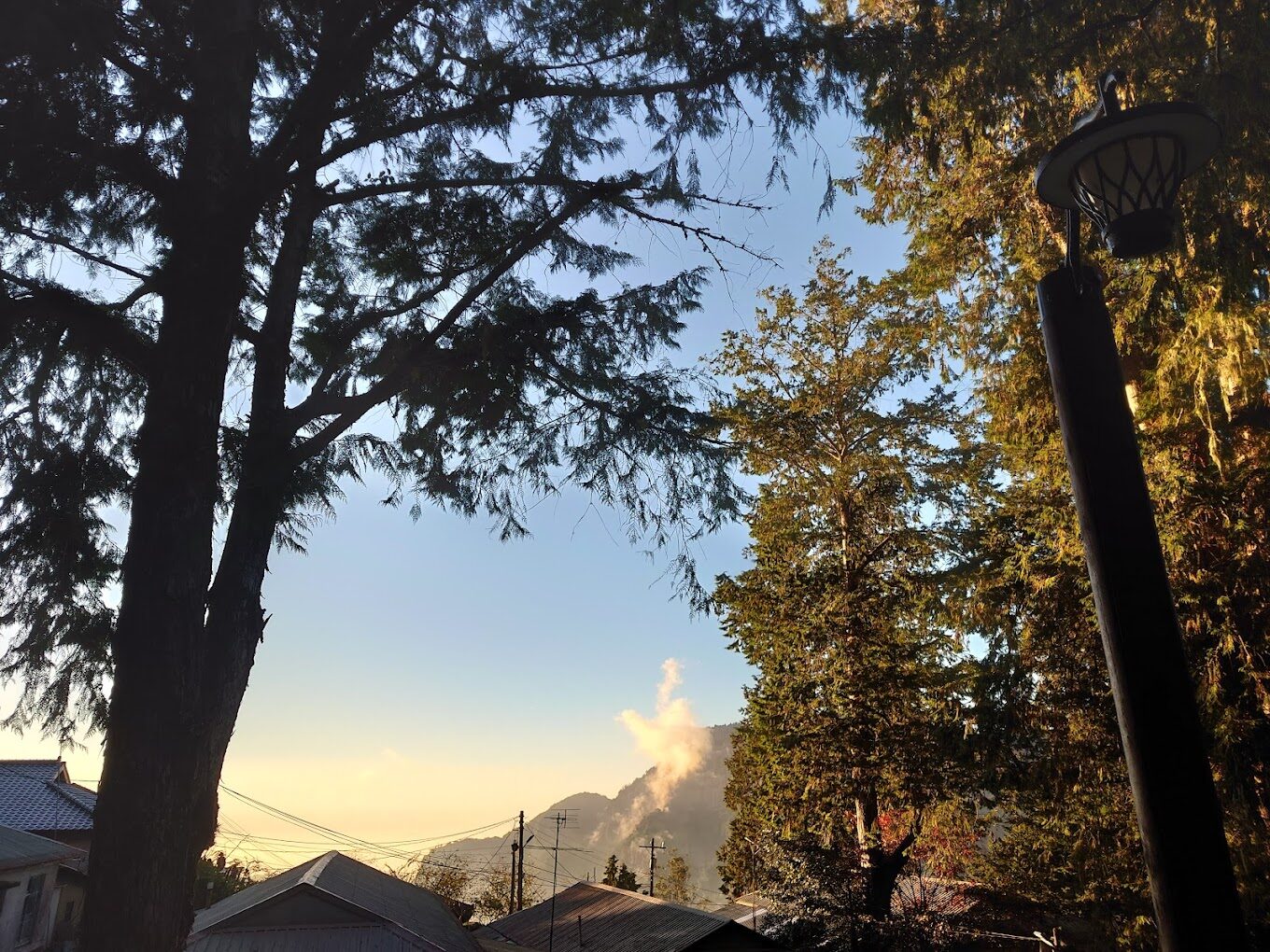 阿里山必遊景點推薦｜避開人潮的隱藏秘境