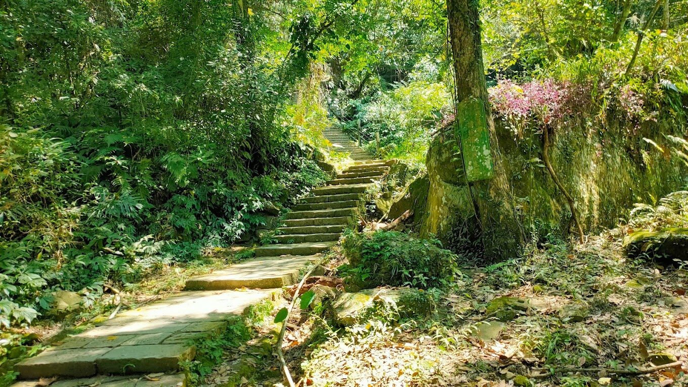 不可錯過的南投景點推薦｜秘境讓你驚嘆不已