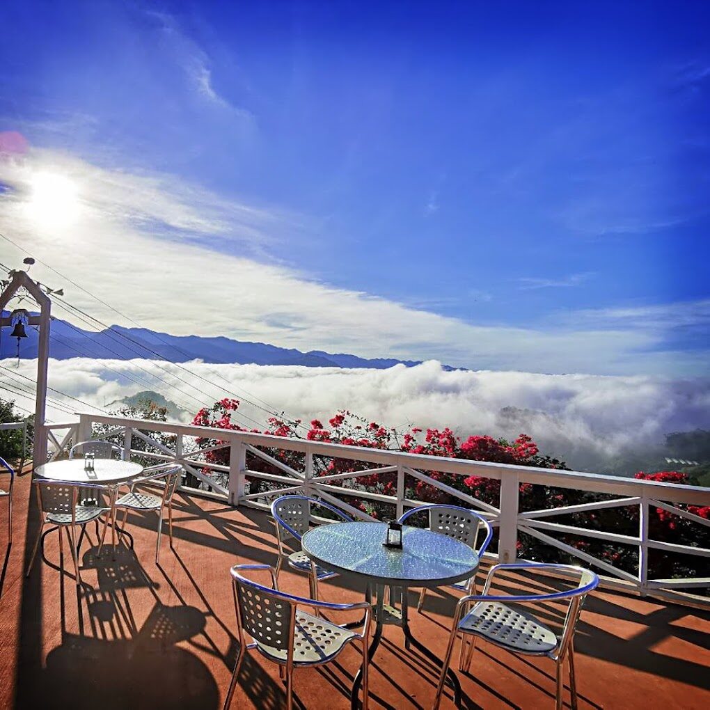 2025阿里山住宿推薦｜必住山居體驗，不踩雷實用指南