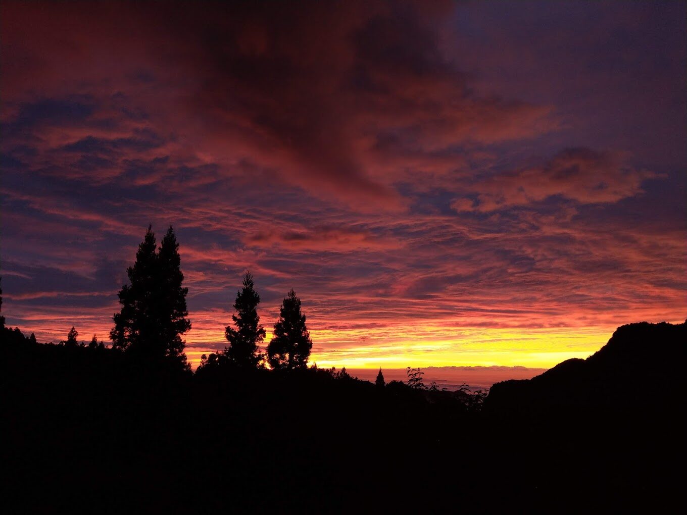 2025阿里山住宿推薦｜必住山居體驗，不踩雷實用指南
