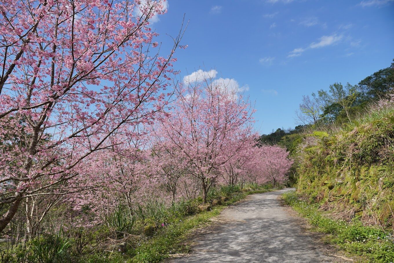 探索三峽景點：你不可錯過的隱藏秘境