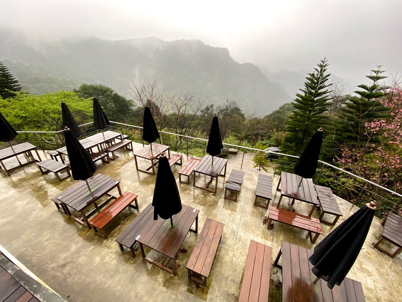 探索三峽景點：你不可錯過的隱藏秘境