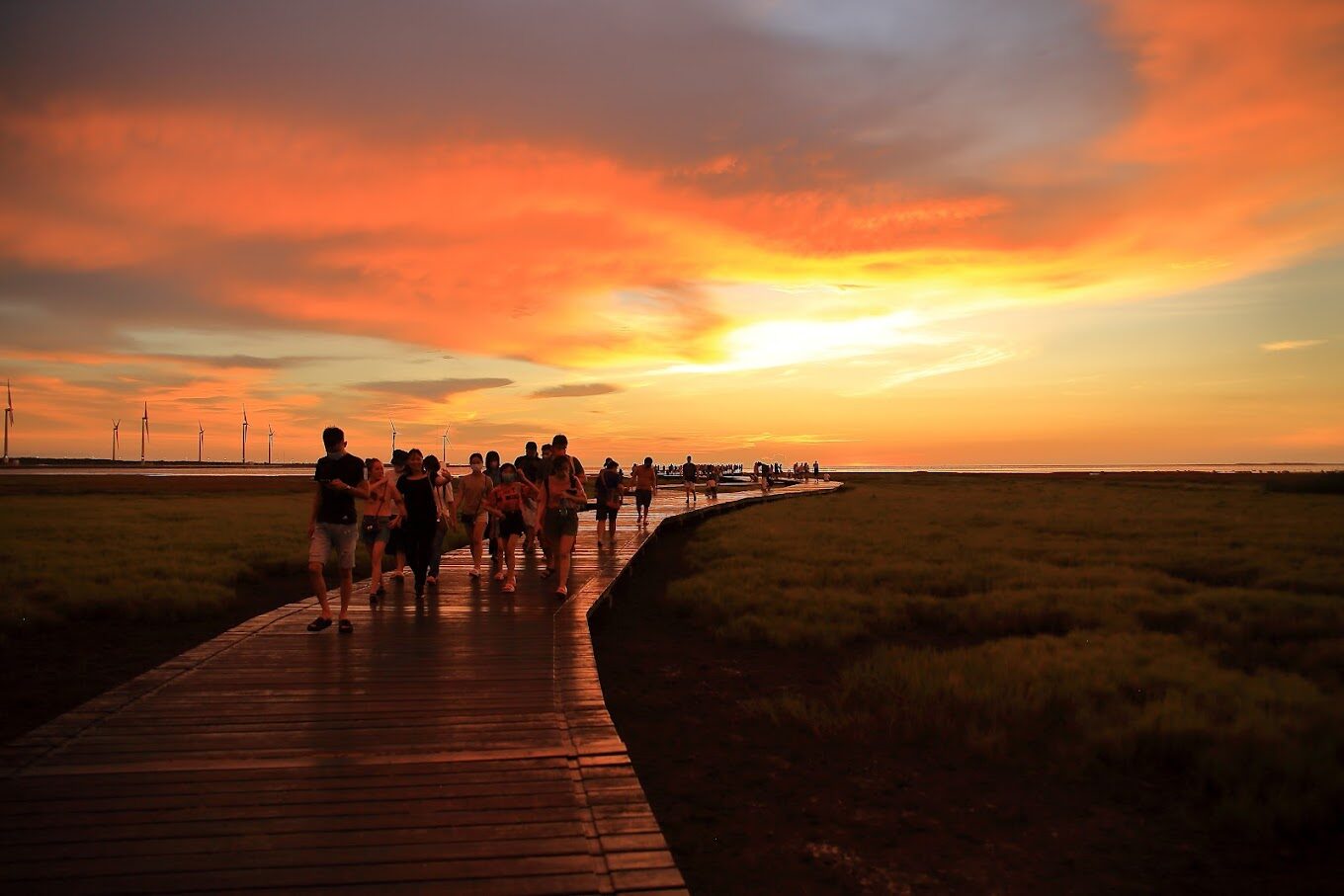 台中旅遊攻略：必訪的特色景點