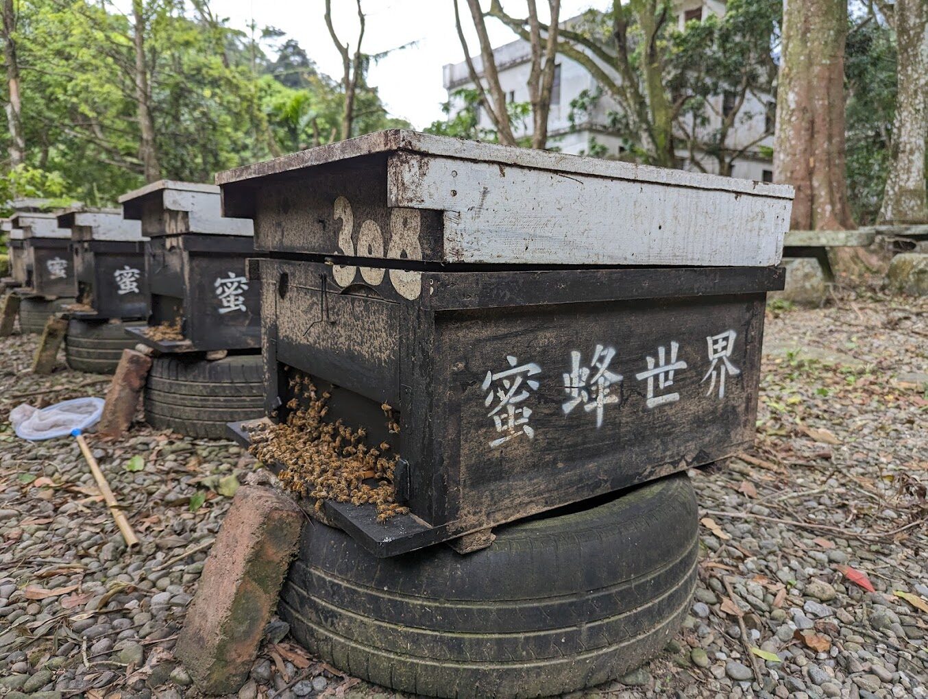 探索三峽景點：你不可錯過的隱藏秘境