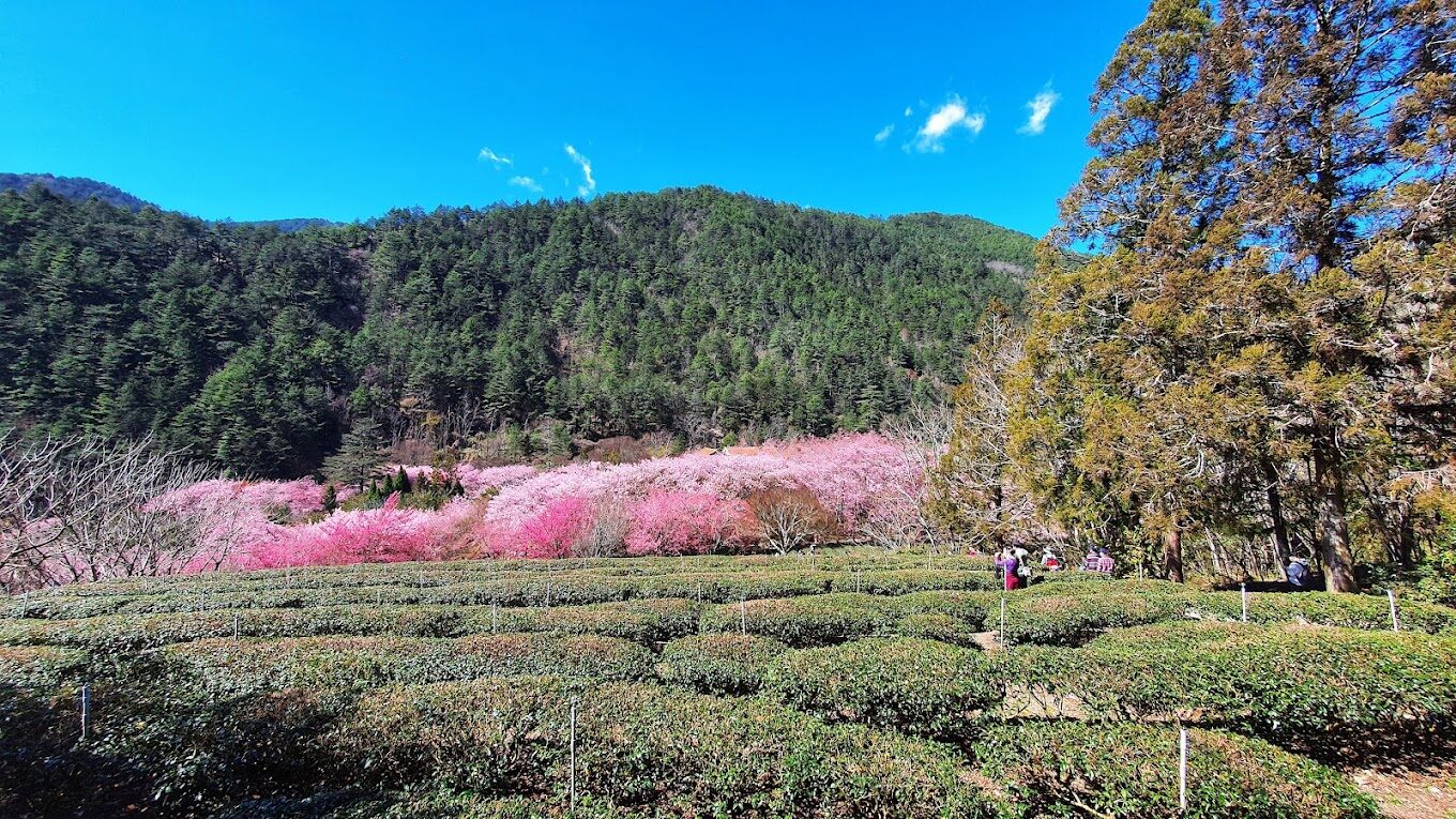 武陵農場必去景點！不能錯過的美麗秘境