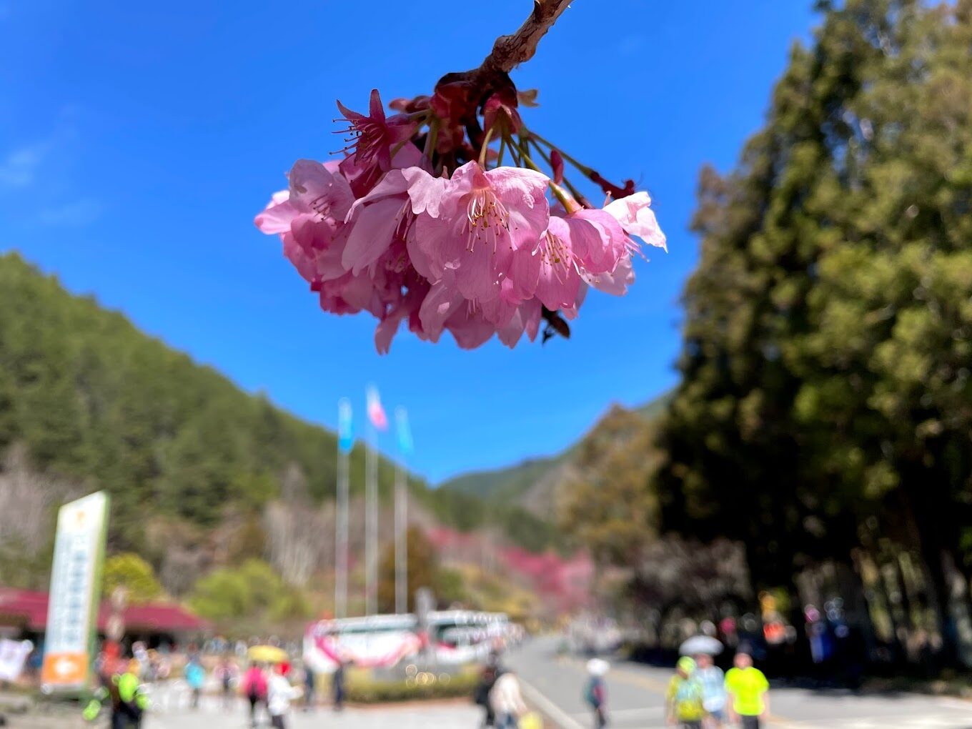 武陵農場必去景點！不能錯過的美麗秘境