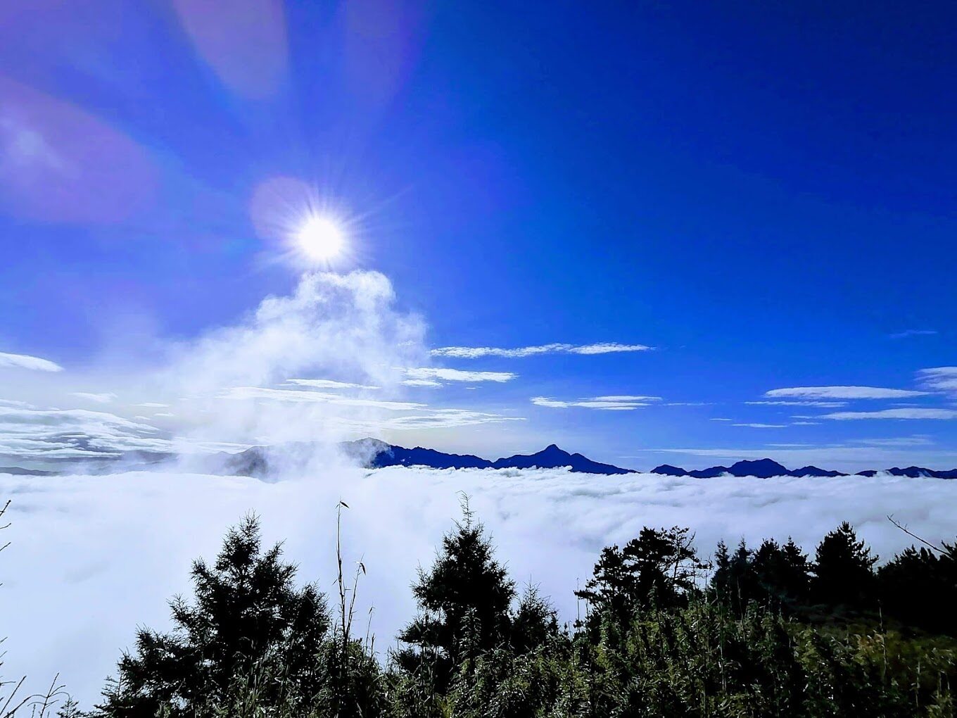 武陵農場必去景點！不能錯過的美麗秘境