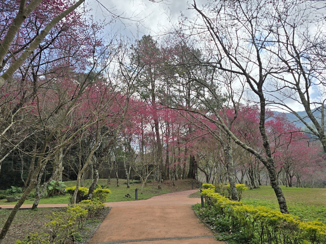 奧萬大絕美景點：你不可錯過的必遊地點