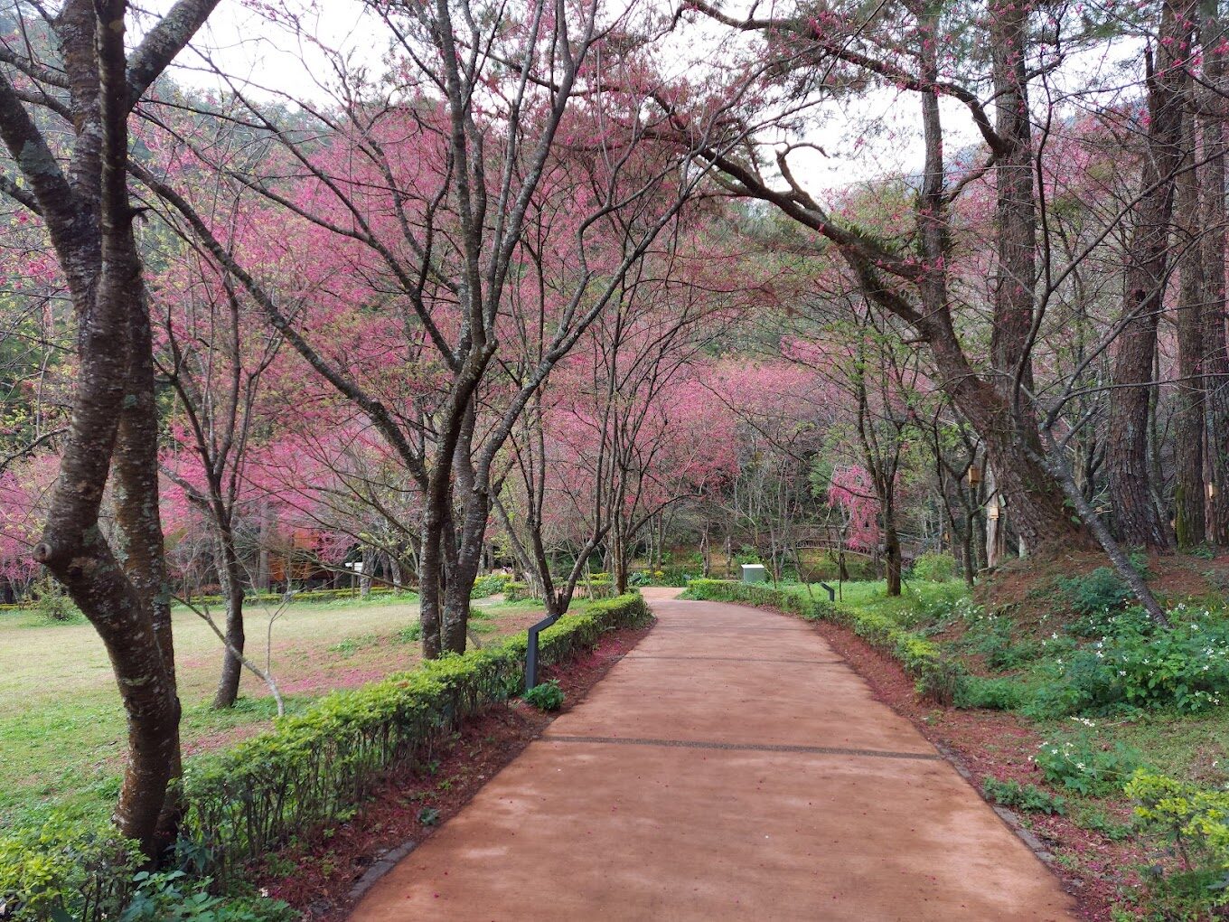 奧萬大絕美景點：你不可錯過的必遊地點