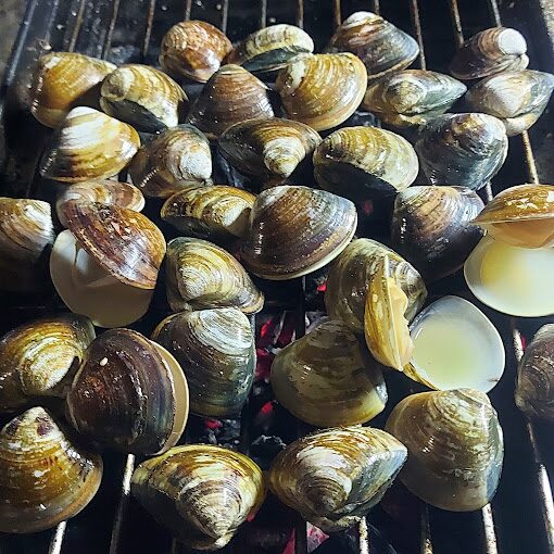 探索三峽景點：你不可錯過的隱藏秘境