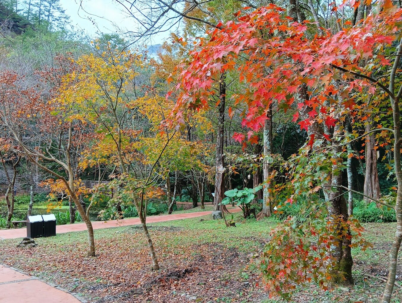 奧萬大絕美景點：你不可錯過的必遊地點