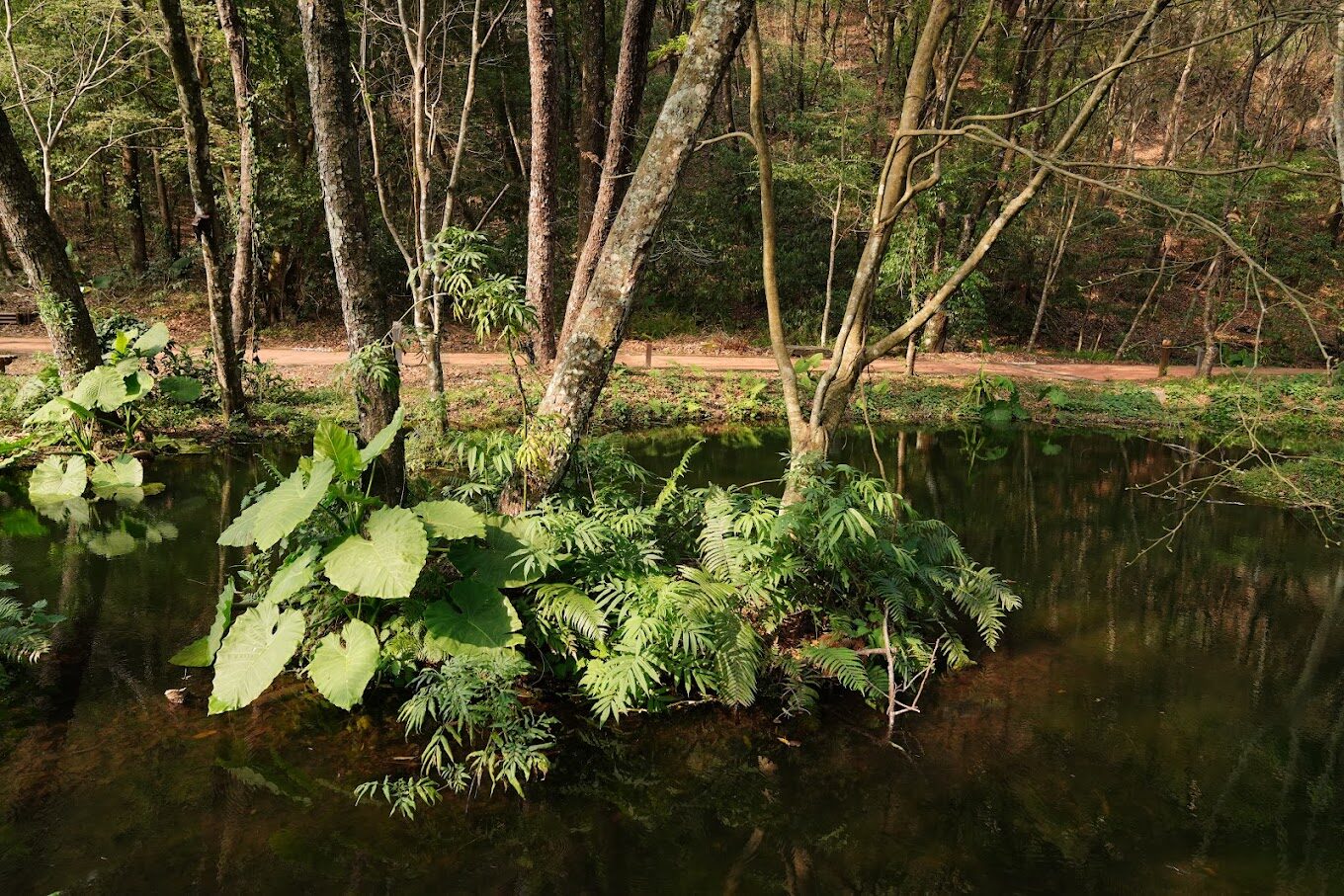 奧萬大絕美景點：你不可錯過的必遊地點