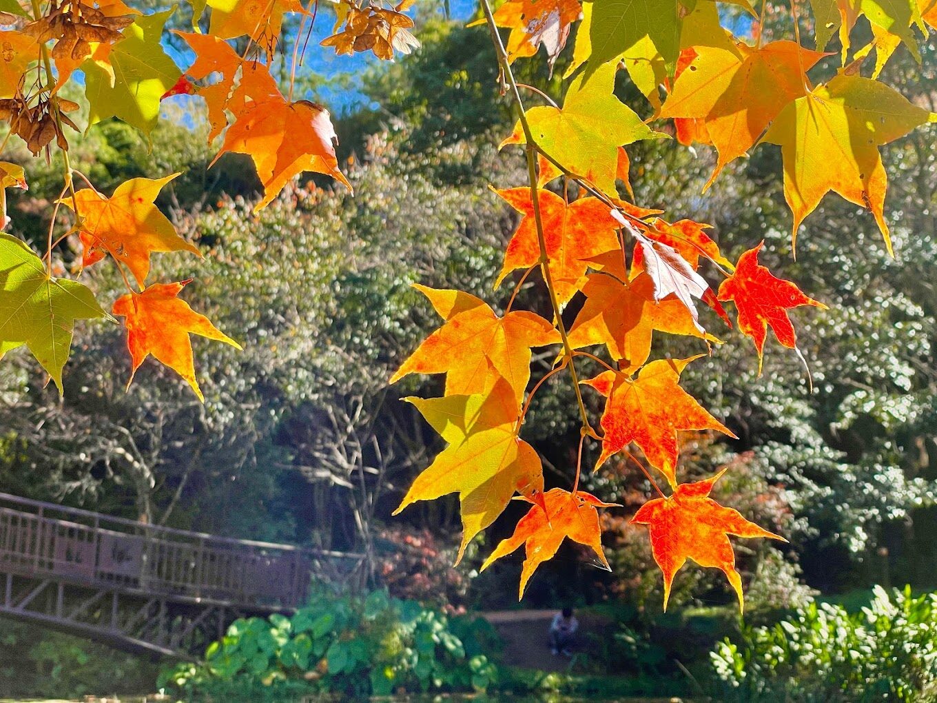 奧萬大絕美景點：你不可錯過的必遊地點