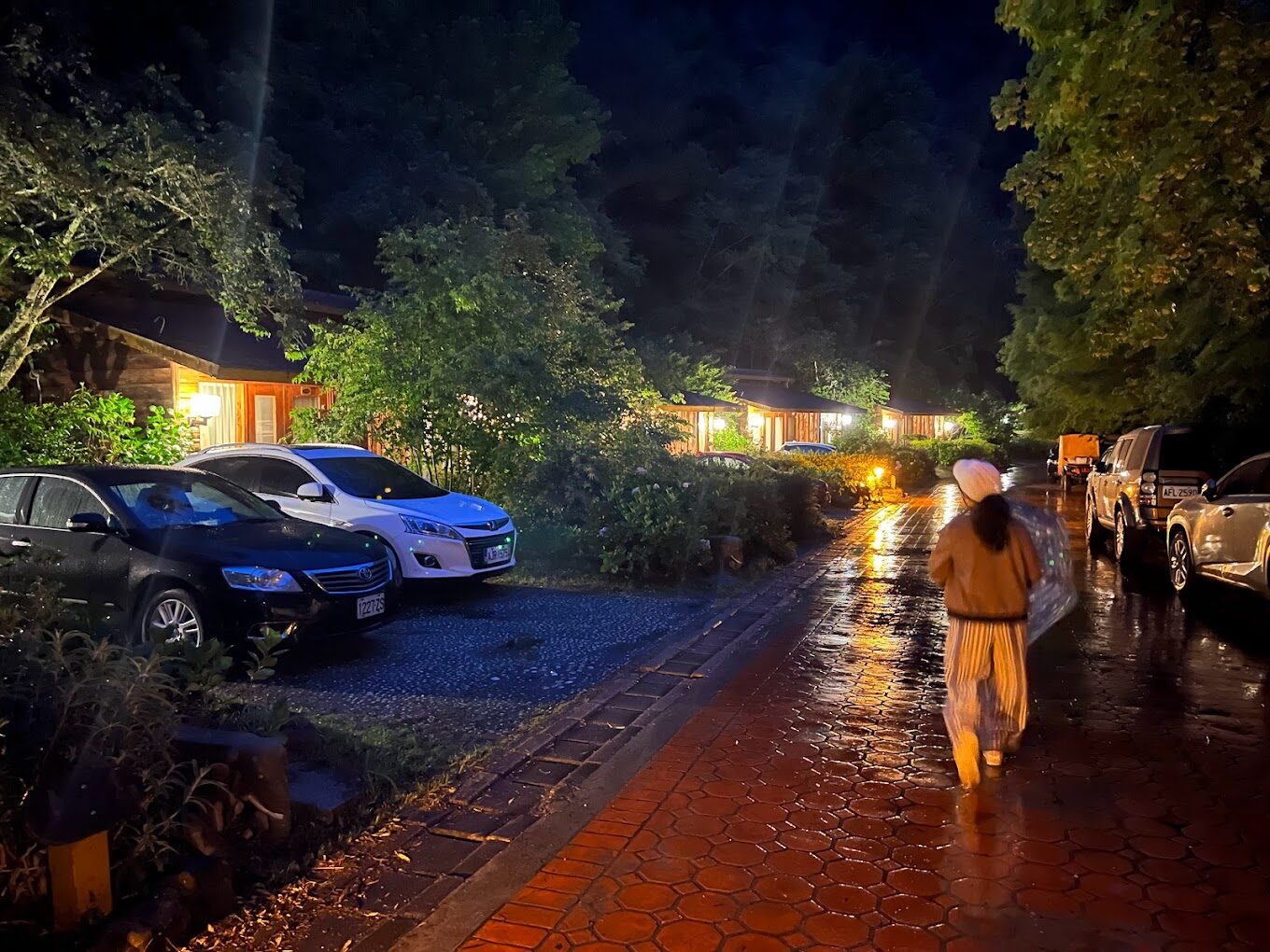 武陵農場訂房攻略｜避開這常見陷阱，確保完美住宿體驗