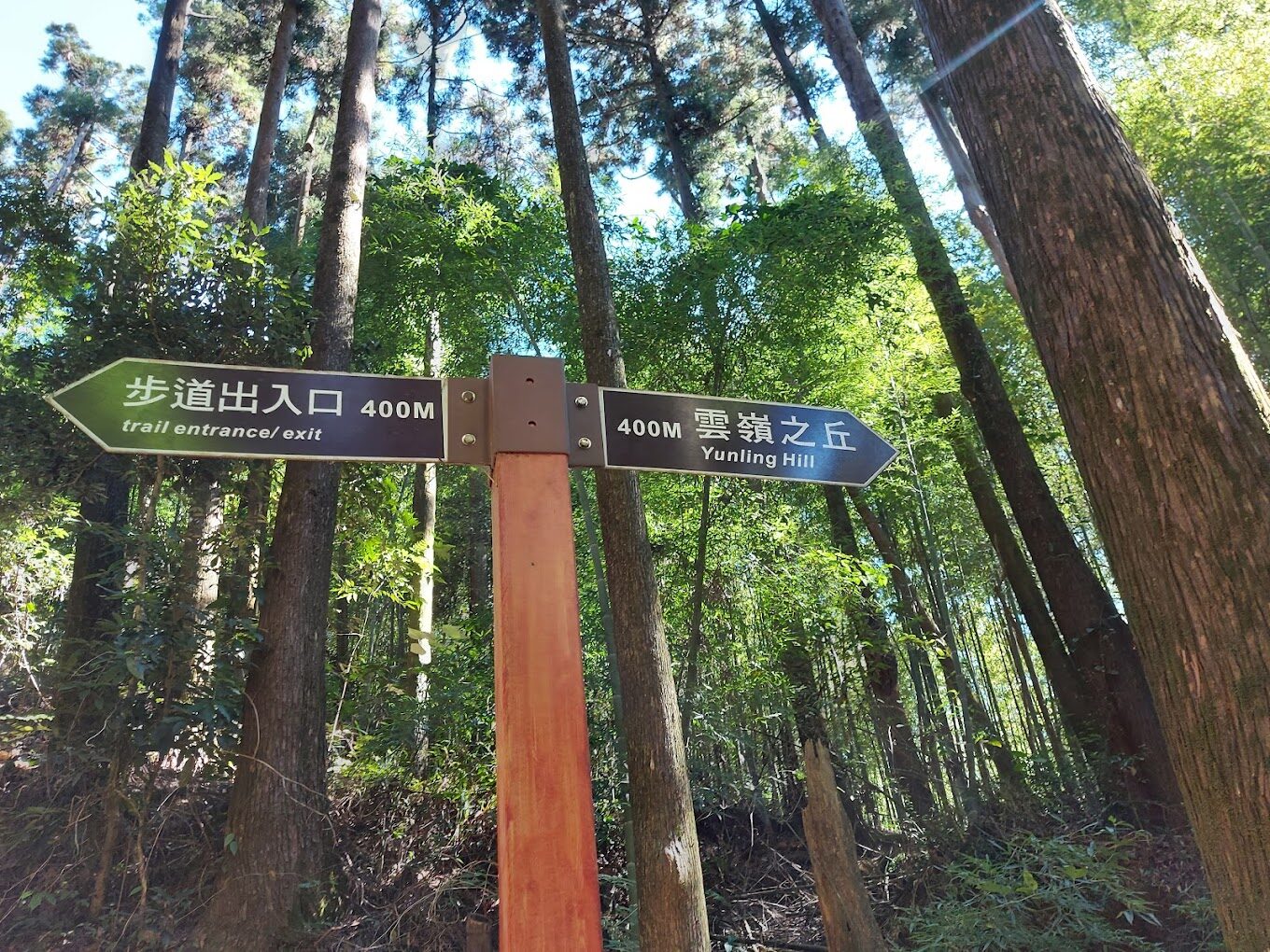 【2025】杉林溪必遊景點清單:避免錯過的自然美景