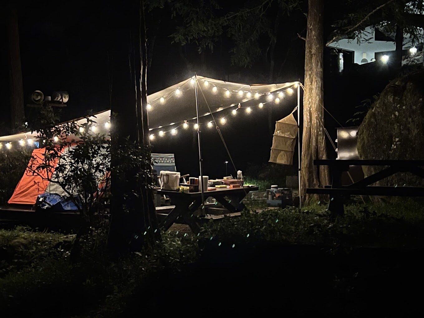 【2025】嘉義景點必去清單｜不去會後悔的打卡熱點