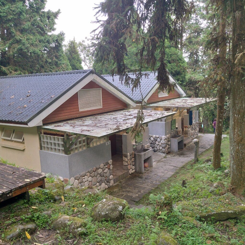 【2025】嘉義景點必去清單｜不去會後悔的打卡熱點