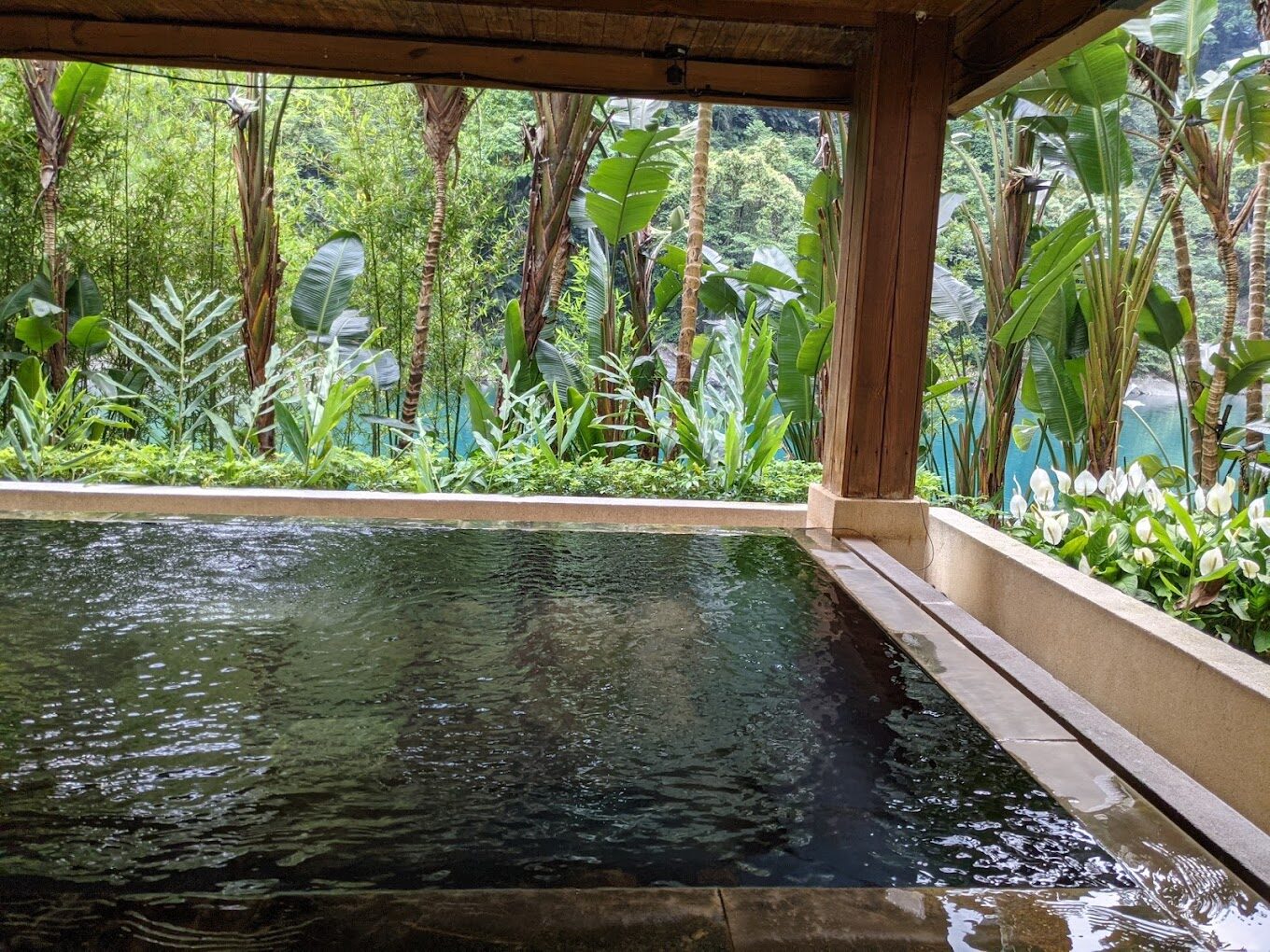 烏來溫泉必去景點｜避開旅遊陷阱的秘訣