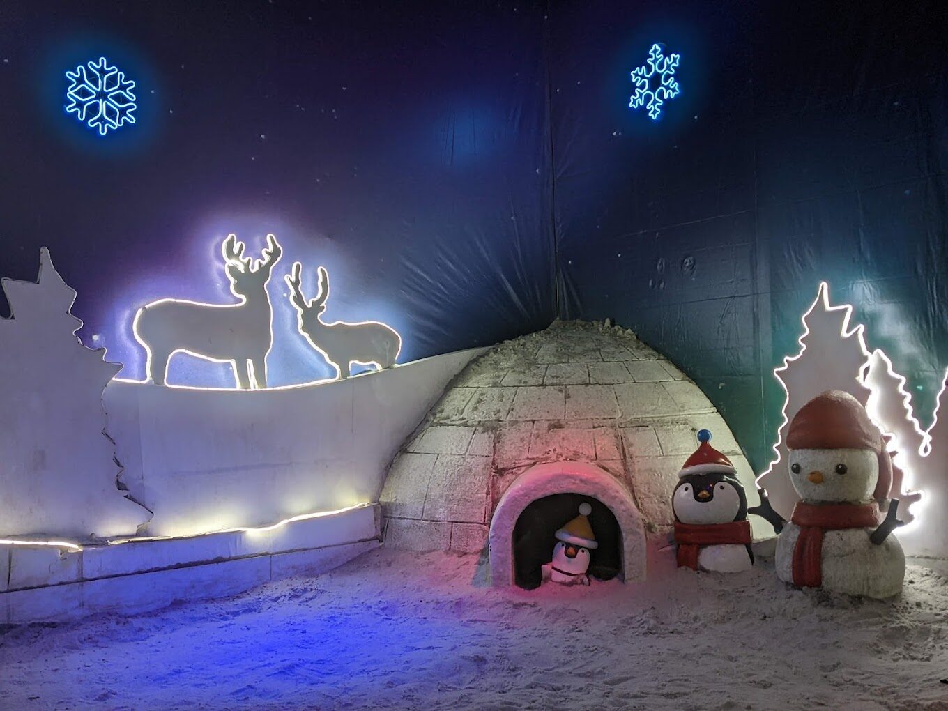 小叮噹科學園區必訪景點推薦｜揭開不為人知的亮點