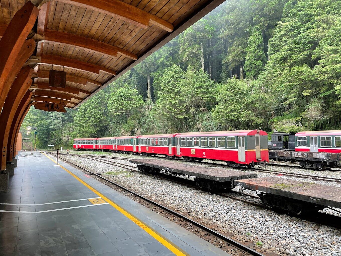 阿里山神木賓館旅遊指南｜必體驗的住宿亮點