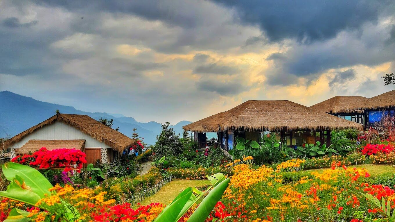 阿里山神木賓館旅遊指南｜必體驗的住宿亮點