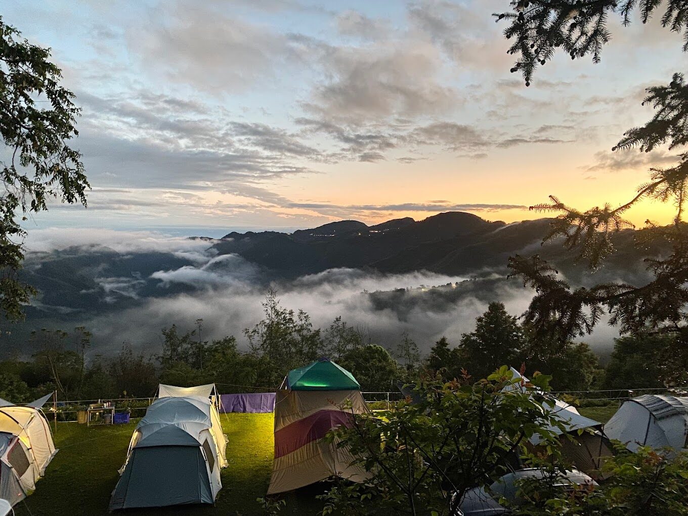 避免錯過的阿里山賓館體驗｜2025年最佳住宿攻略