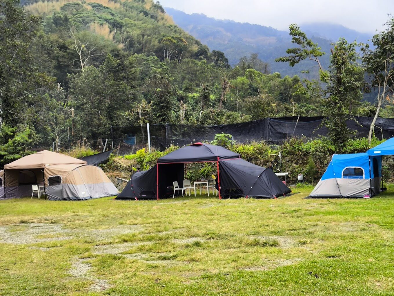 入住阿里山的完美選擇｜高山風光與舒適享受的結合