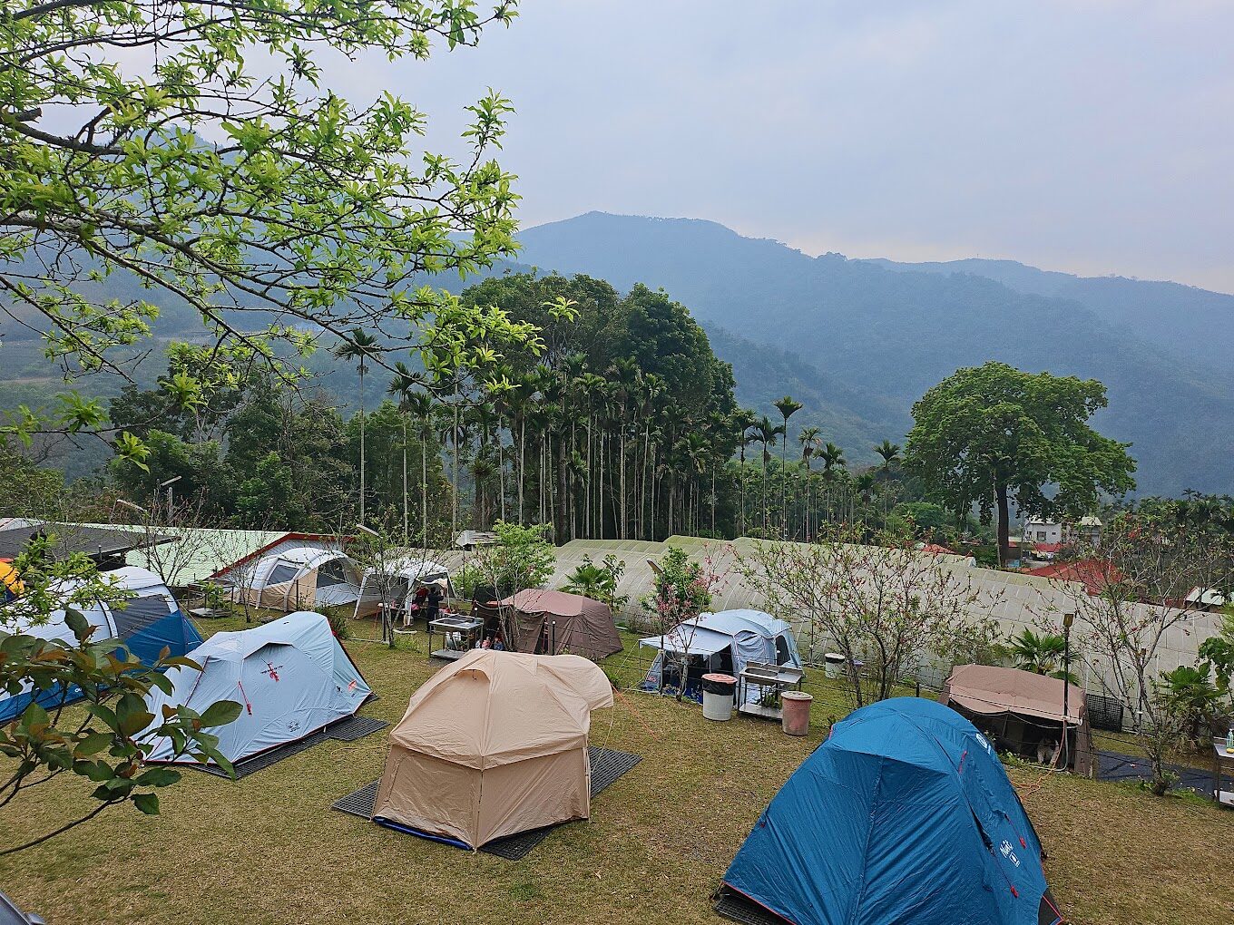 入住阿里山的完美選擇｜高山風光與舒適享受的結合