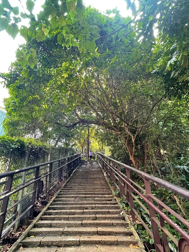 2025象山步道攻略|避開人潮的最佳時間與景點推薦