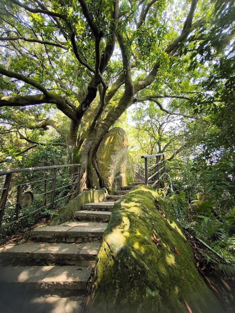 2025象山步道攻略|避開人潮的最佳時間與景點推薦