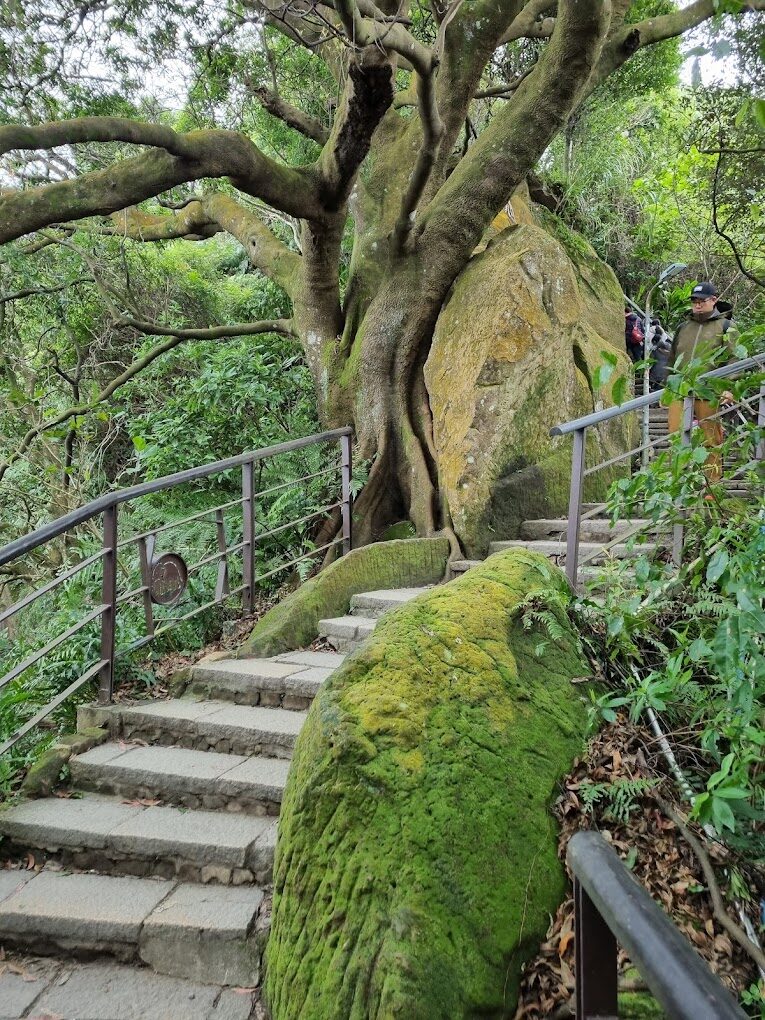 2025象山步道攻略|避開人潮的最佳時間與景點推薦