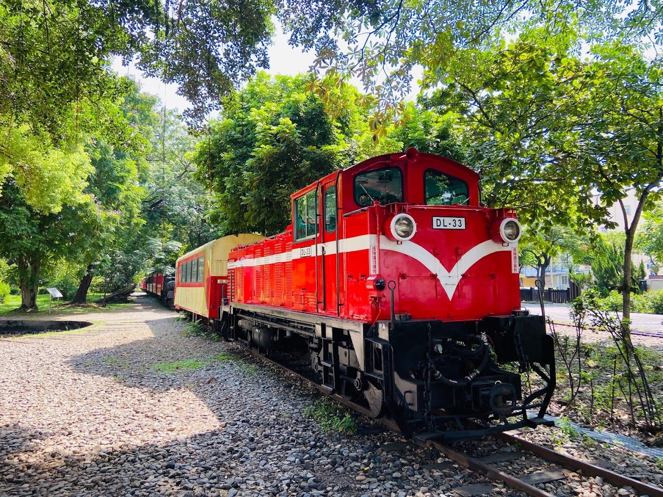 【2025】阿里山小火車｜你不可不知的注意事項