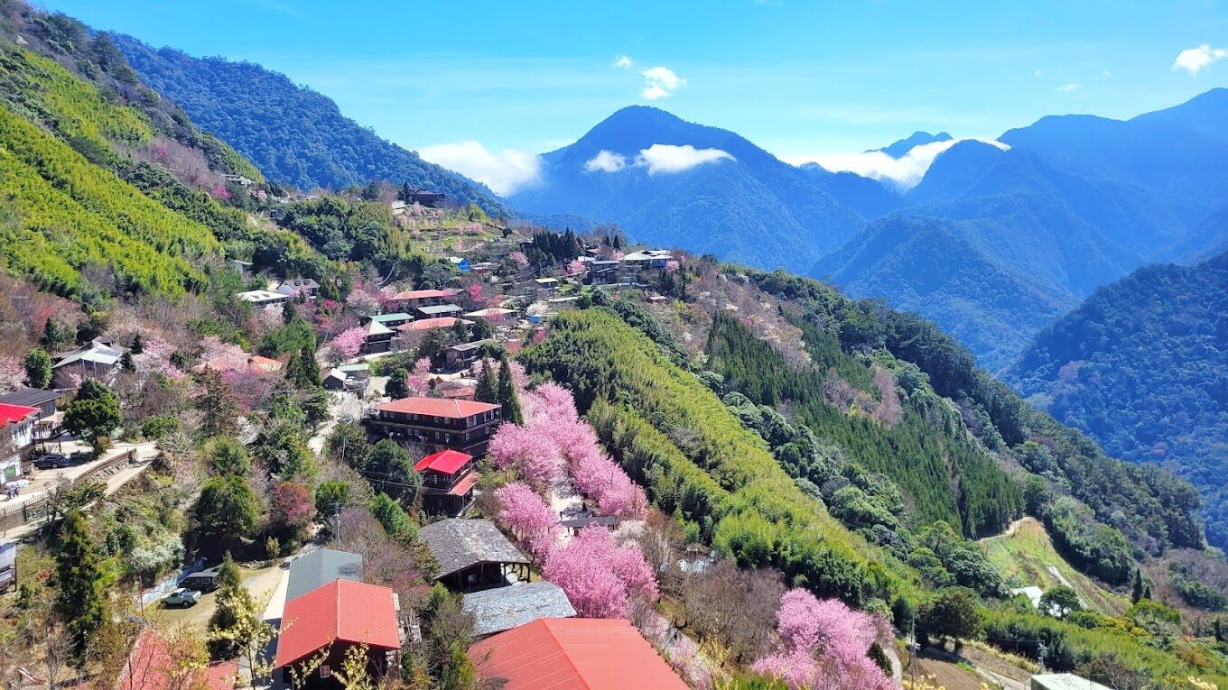 從觀景台俯瞰司馬庫斯部落與周圍山巒