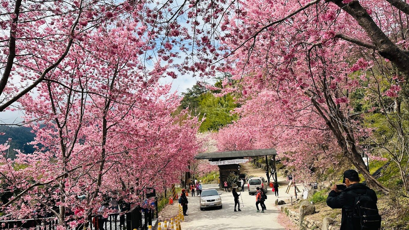 觀景台上的木棧道與遠方山景