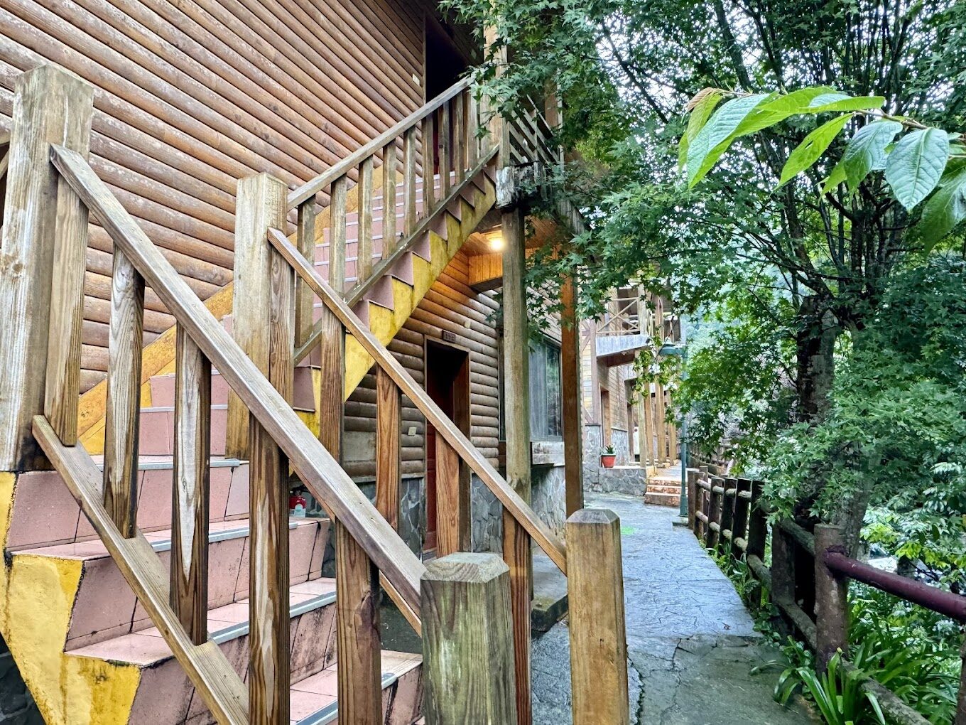 杉林溪必遊景點｜探索自然美景與隱藏秘境