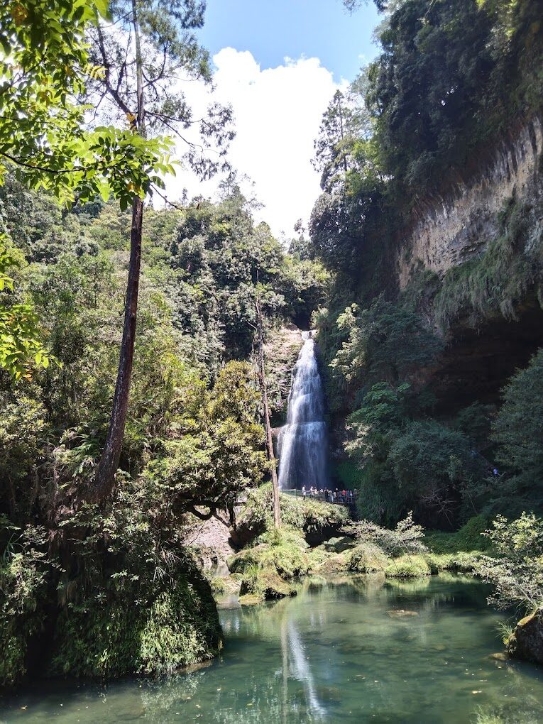 杉林溪必遊景點｜探索自然美景與隱藏秘境