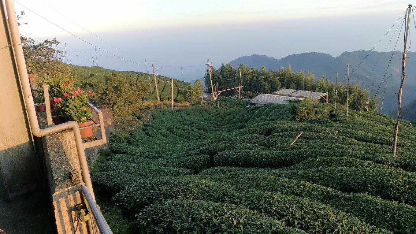 杉林溪必遊景點｜探索自然美景與隱藏秘境