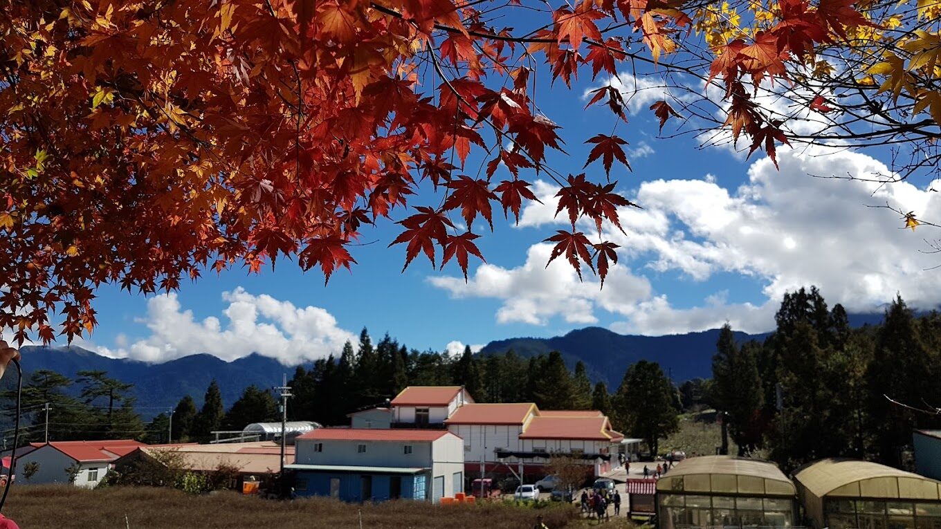 【2025】福壽山農場旅遊攻略｜不容錯過的絕美景點與特色美食