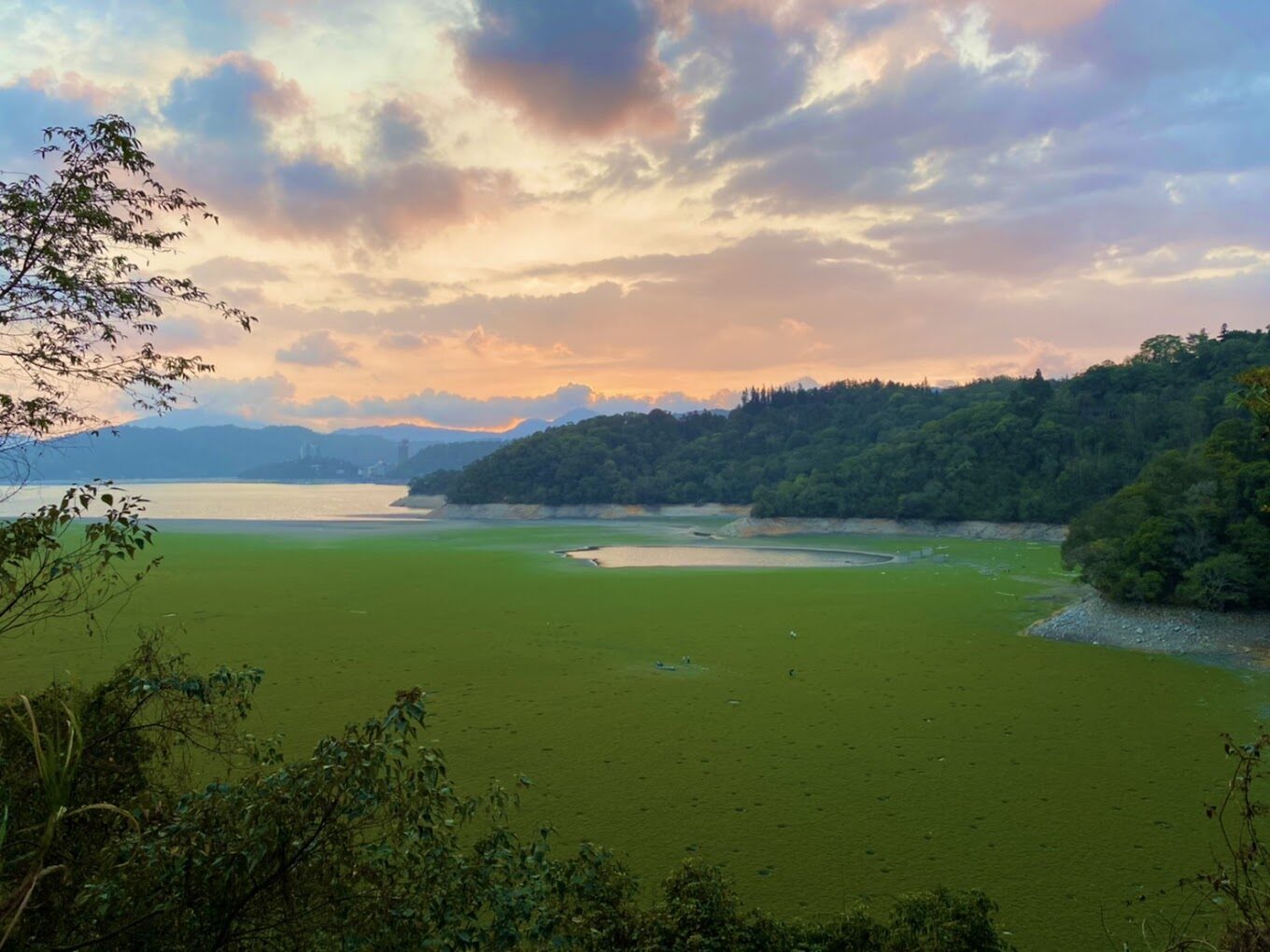 日月潭必遊攻略｜2025年不可錯過的景點