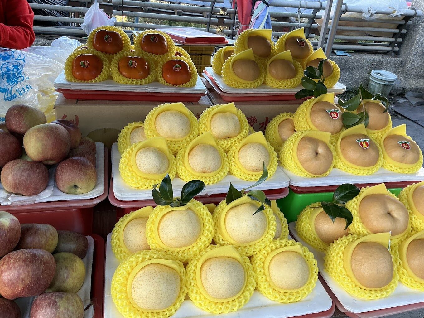 梨山賓館不為人知的魅力｜旅遊達人推薦的隱藏寶地