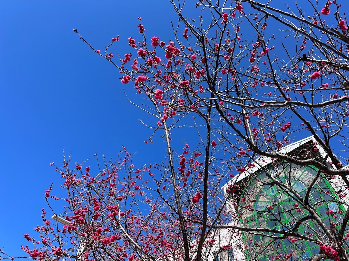 台中一日遊景點攻略｜必去景點與美食推薦