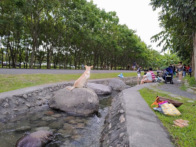 林後四林平地森林園區漫遊：屏東市區的綠色天堂