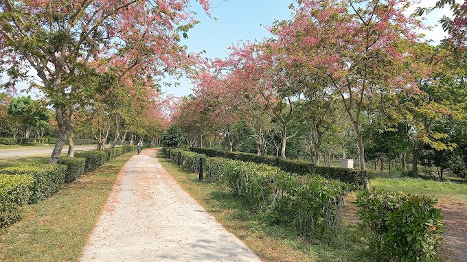 林後四林平地森林園區漫遊：屏東市區的綠色天堂