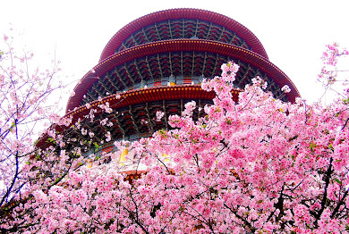 櫻花季必訪景點推薦