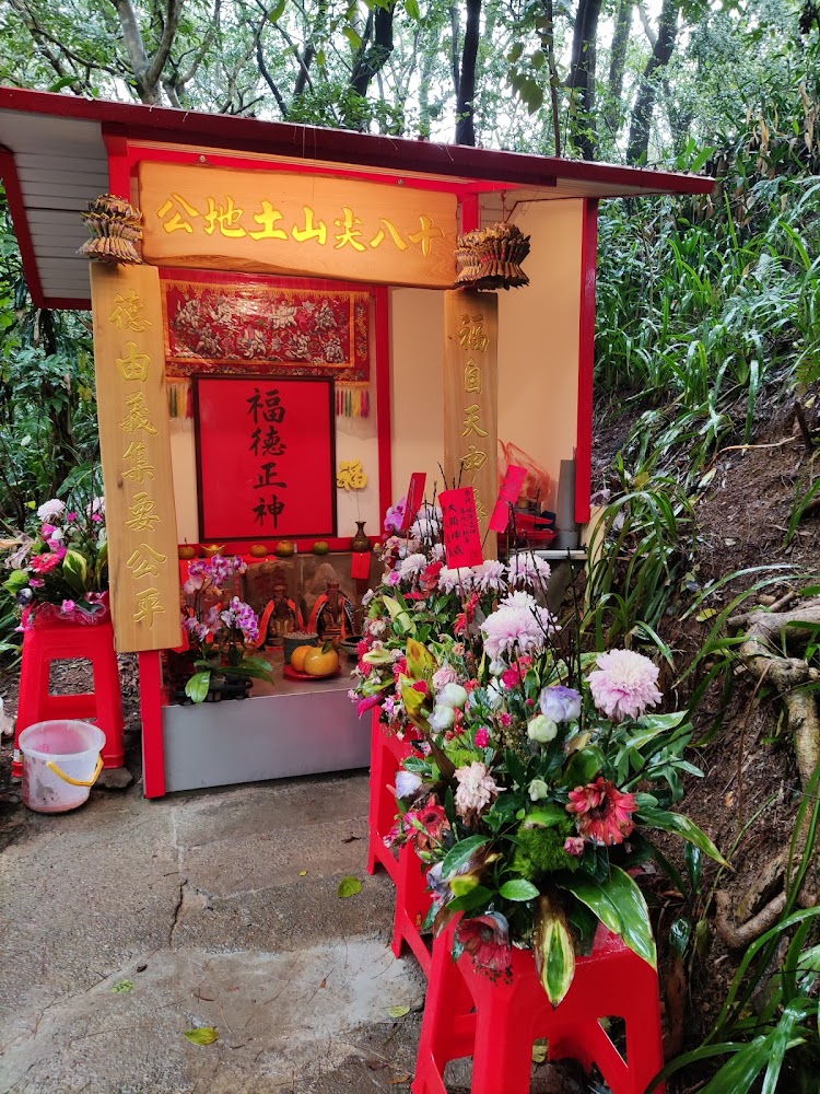 新竹登山步道:探索十八尖山東峰的魅力與步道攻略 - 附近景點 旅遊極短篇 Blog