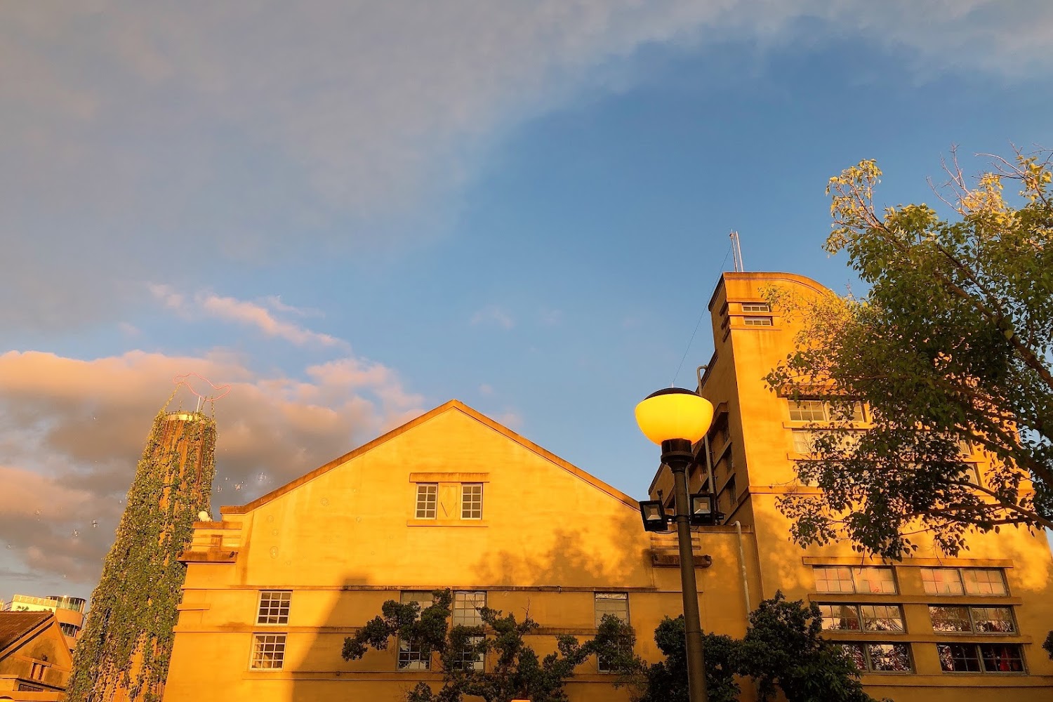 【2025】嘉義景點必訪清單｜絕對不能錯過的特色景點