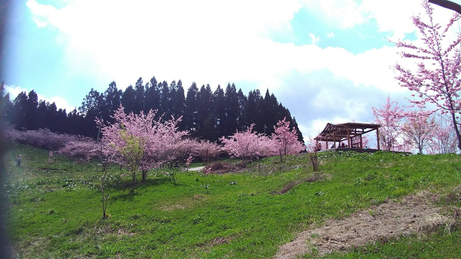 【2025】福壽山農場必遊景點！探索絕美秘境