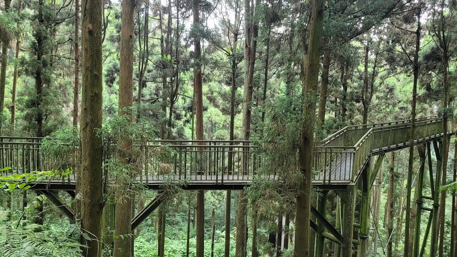 杉林溪旅遊攻略｜你不可錯過的秘境景點