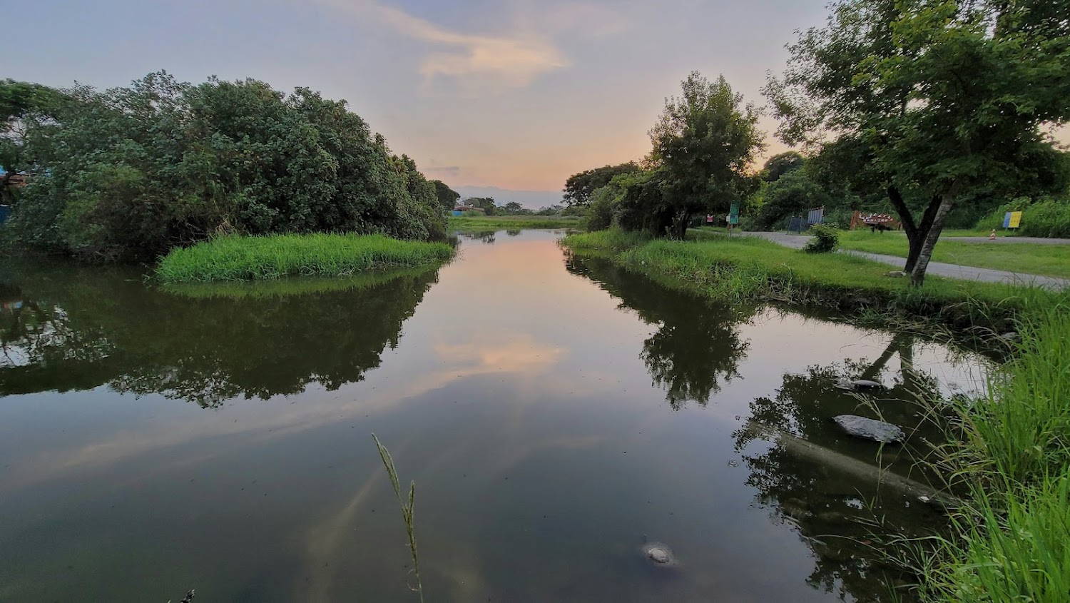 陽明山必去秘境景點推薦｜避開人潮享受自然之美